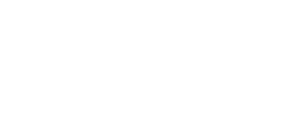 DayZ